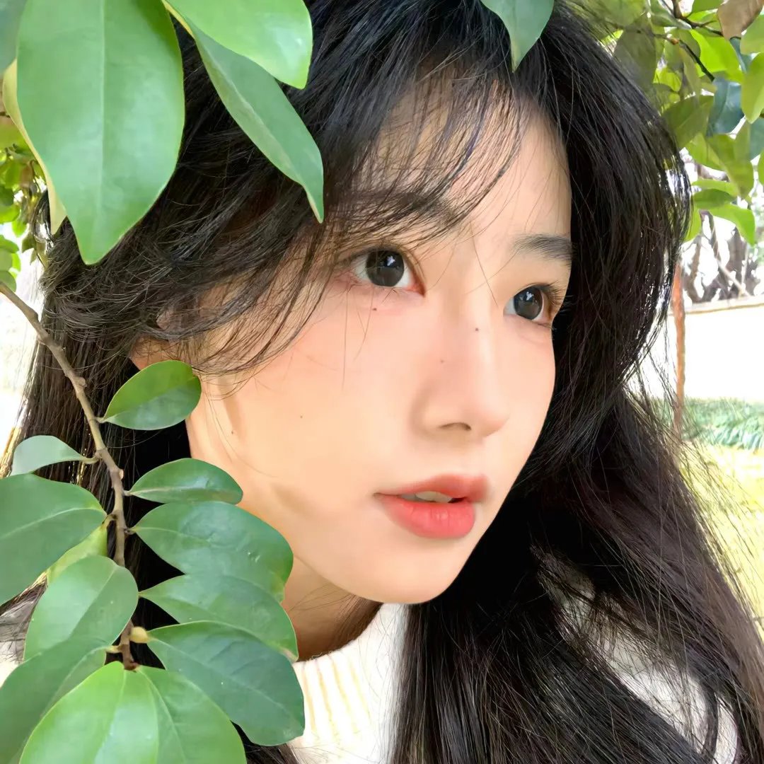 什么鸟日子